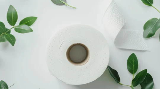 papier toilette écologique